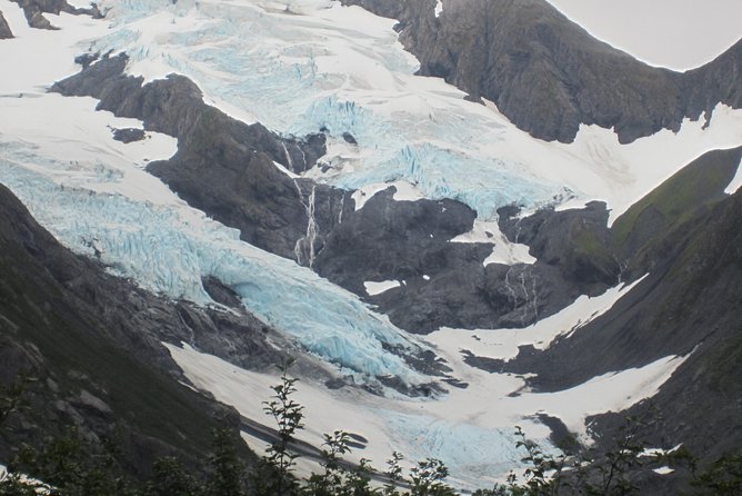 Wildlife and Glaciers with a walk in the Rainforest - Transport, comfort, and the four-and-a-half-hour schedule