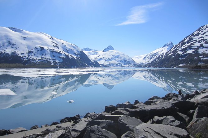 Wildlife and Glaciers with a walk in the Rainforest - Is $149 a fair price?