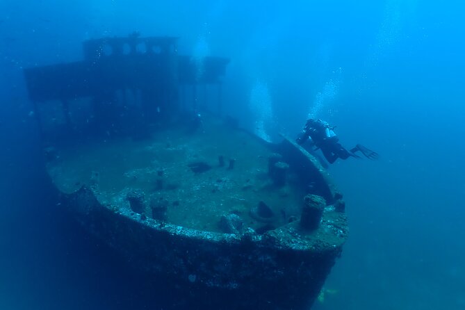 Wreck and Bridge Span Dive for Certified Divers - Key Things to Know Before You Go