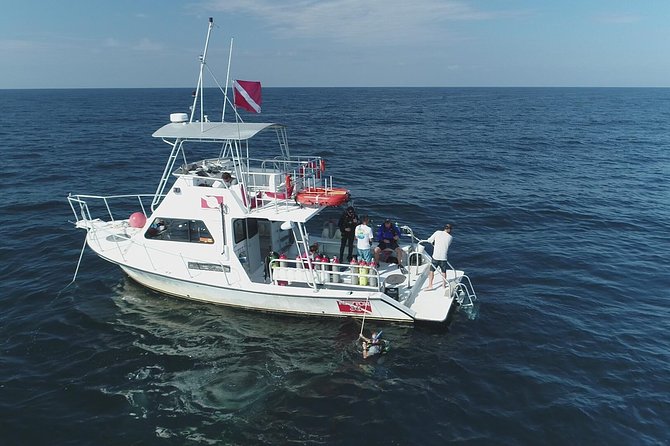 Wreck and Bridge Span Dive for Certified Divers - Starting at Panama City Diving on Navy Boulevard