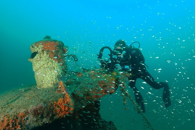 Wreck and Bridge Span Dive for Certified Divers - Seeing the Bridge Span and Artificial Reef