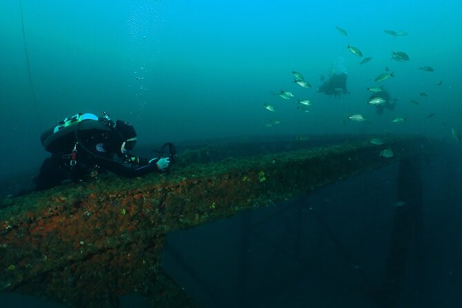 Wreck and Bridge Span Dive for Certified Divers - Equipment, Weights, Snacks, and the Real Cost