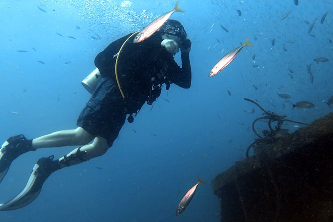 Wreck and Bridge Span Dive for Certified Divers - Timing Your Day Around the 18-Hour Flight Rule