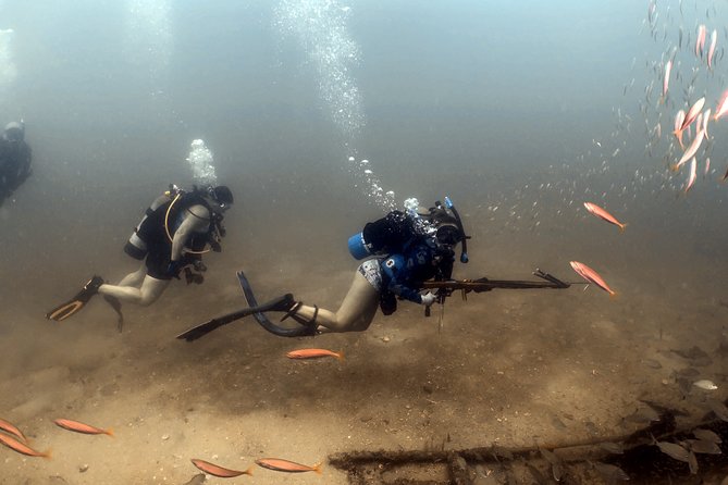Wreck and Bridge Span Dive for Certified Divers - Who Will Get the Most From This Charter?