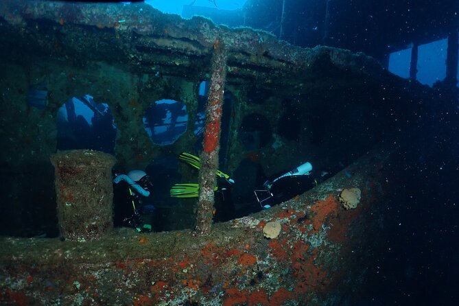 Wreck and Bridge Span Dive for Certified Divers - Exploring the Shipwreck