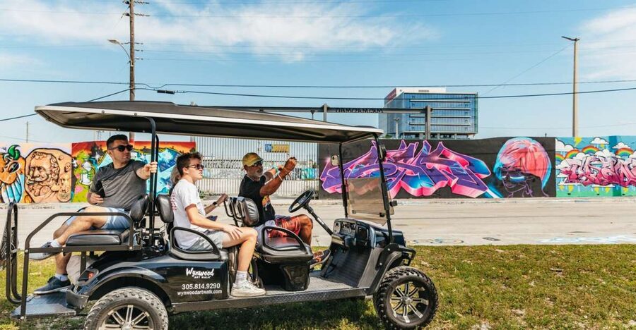 Wynwood Art District 1-Hour Street Art Tour by Golf Cart - Six to nine stops, each with a different lesson