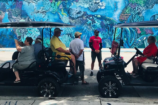 Wynwood Graffiti Golf Cart Small-Group Tour - The Museum of Graffiti and Other Follow-Up Stops