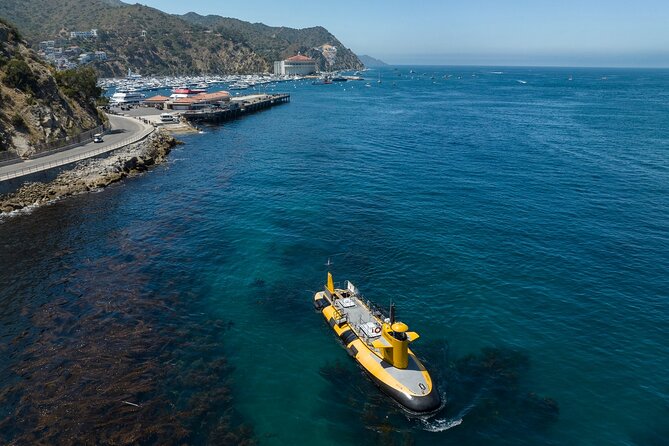 Yellow Semi-Submarine Tour of Catalina Island From Avalon - Key points before you book