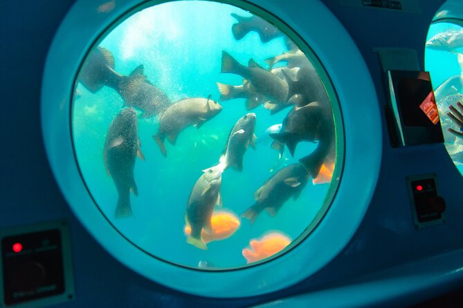 Yellow Semi-Submarine Tour of Catalina Island From Avalon - What this Avalon submarine ride is really like