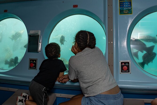 Yellow Semi-Submarine Tour of Catalina Island From Avalon - The fish-food torpedo costs extra