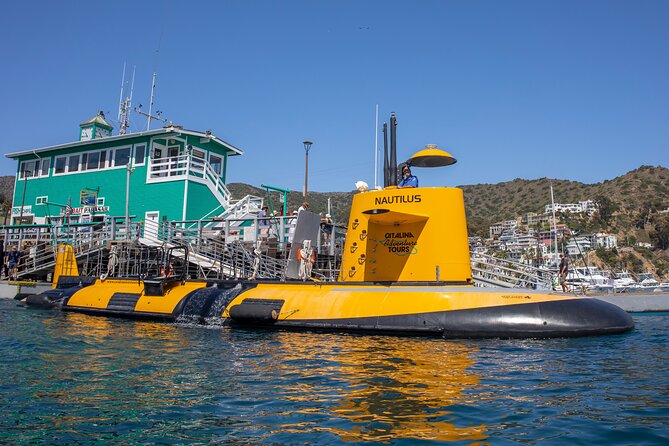 Yellow Semi-Submarine Tour of Catalina Island From Avalon - The return ride gives you a second view of Avalon