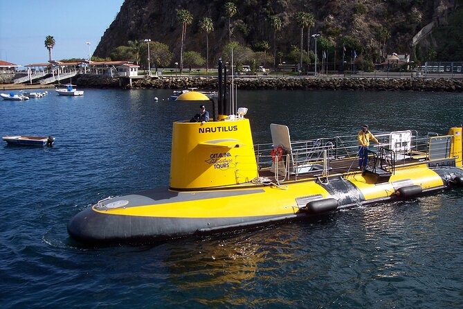 Yellow Semi-Submarine Tour of Catalina Island From Avalon - Is $53 a fair price?