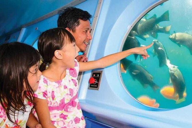 Yellow Semi-Submarine Tour of Catalina Island From Avalon - Boarding at Green Pleasure Pier