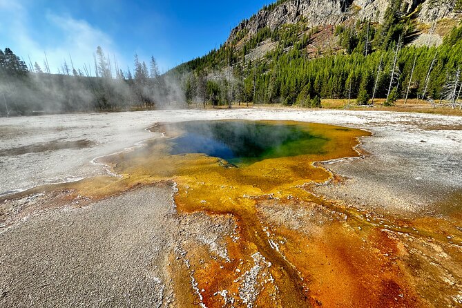 Yellowstone Lower Loop Full-Day Tour - Why this tour works for a first Yellowstone day