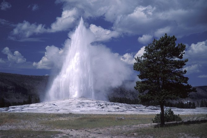 Yellowstone Lower Loop Full-Day Tour - The Lower Falls and Grand Canyon of the Yellowstone