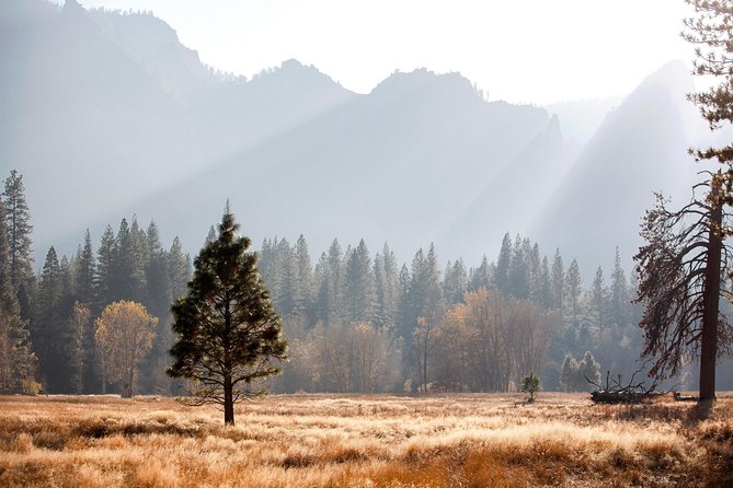 Yosemite Highlights & Giant Sequoias Day Tour from San Francisco - Why this Yosemite day trip works from San Francisco