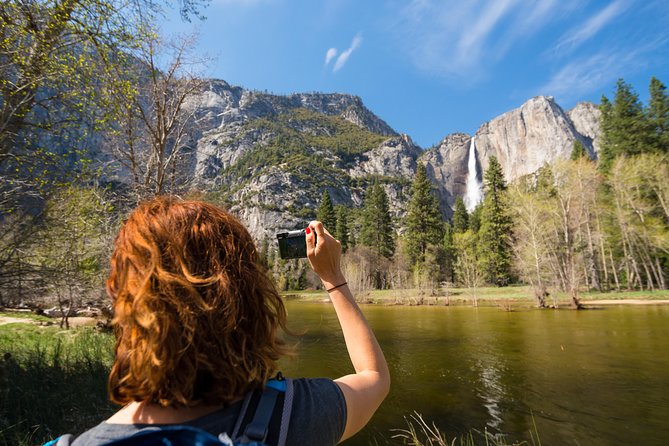 Yosemite Highlights & Giant Sequoias Day Tour from San Francisco - Two hours in Yosemite Valley, with room to choose