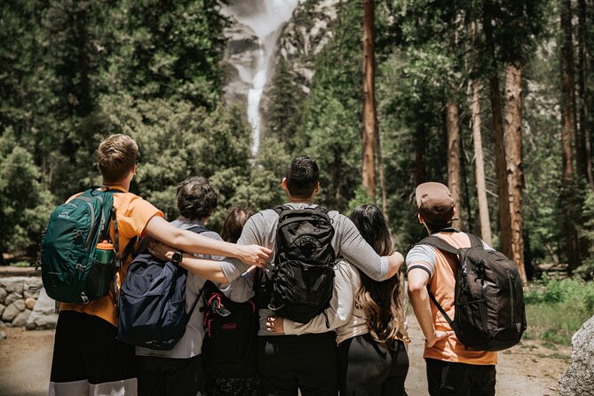 Yosemite Highlights & Giant Sequoias Day Tour from San Francisco - The Tuolumne Grove hike is the day’s most unusual feature