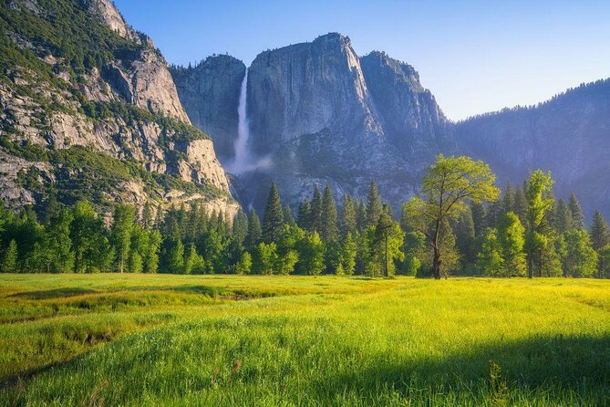 Yosemite Highlights Small Group Tour - Key things to know before booking