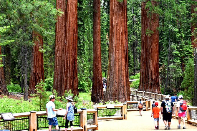 Yosemite Highlights Small Group Tour - Why this tour works for a first Yosemite visit
