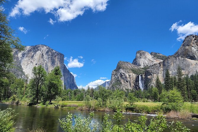 Yosemite Highlights Small Group Tour - Mariposa Grove and its giant sequoias