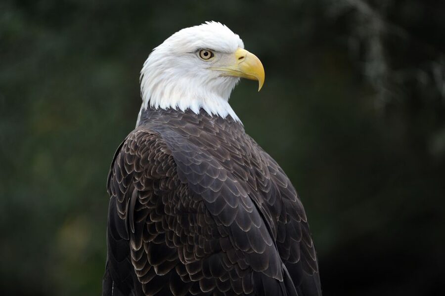 Zoo Miami: General Admission Ticket - Key Points Before You Go