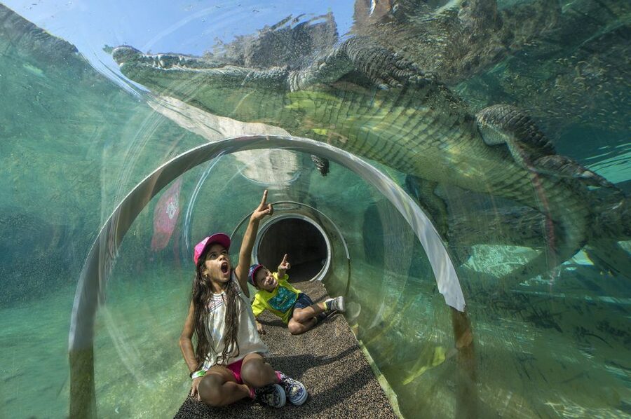 Zoo Miami: General Admission Ticket - Food, Water, and the Optional Lunch Basket