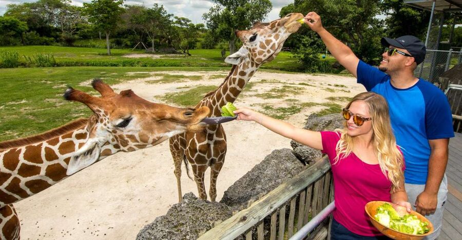 Zoo Miami: General Admission Ticket - What Your $27 Admission Buys