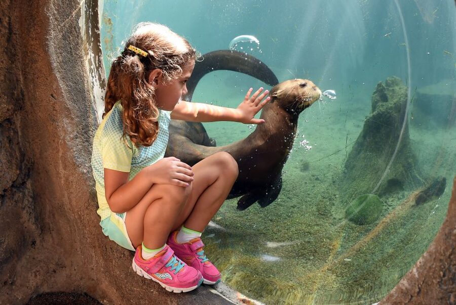 Zoo Miami: General Admission Ticket - Asia’s Free-Flying Birds and Popular Big Animals