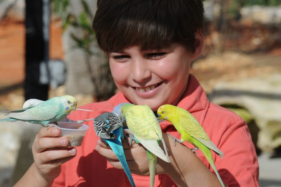 Zoo Miami: General Admission Ticket - Australia and the Smaller Animals Worth Finding