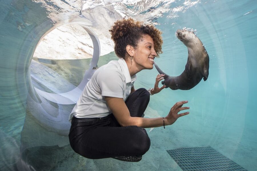 Zoo Miami: General Admission Ticket - Start With Florida: Mission Everglades
